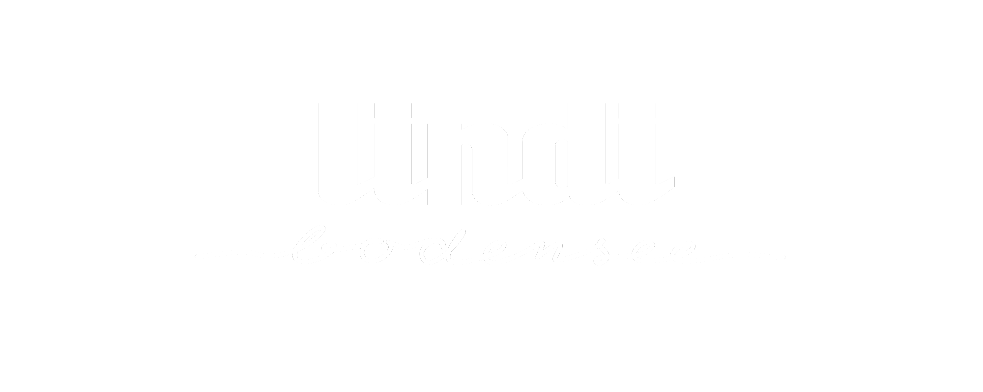 logo_lindi_bodensee_weiss